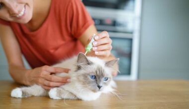 mulher aplicando remédio antipulgas em gato.
