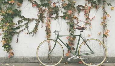 Bicicleta estilo vintage na cor verde encostada em uma parede com heras.