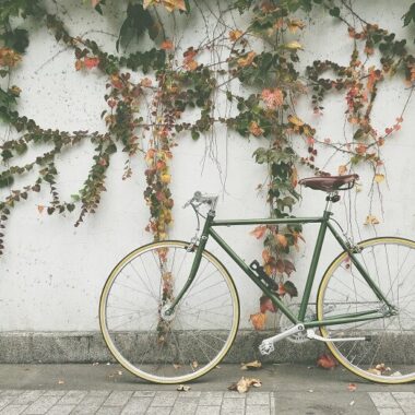 Bicicleta estilo vintage na cor verde encostada em uma parede com heras.