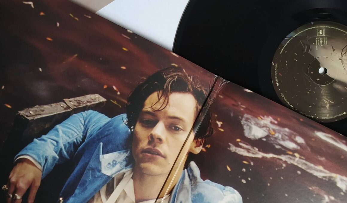 disco de vinil harry styles